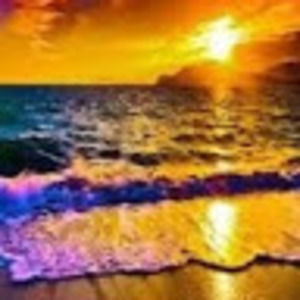 Meet your Posher, Audrey